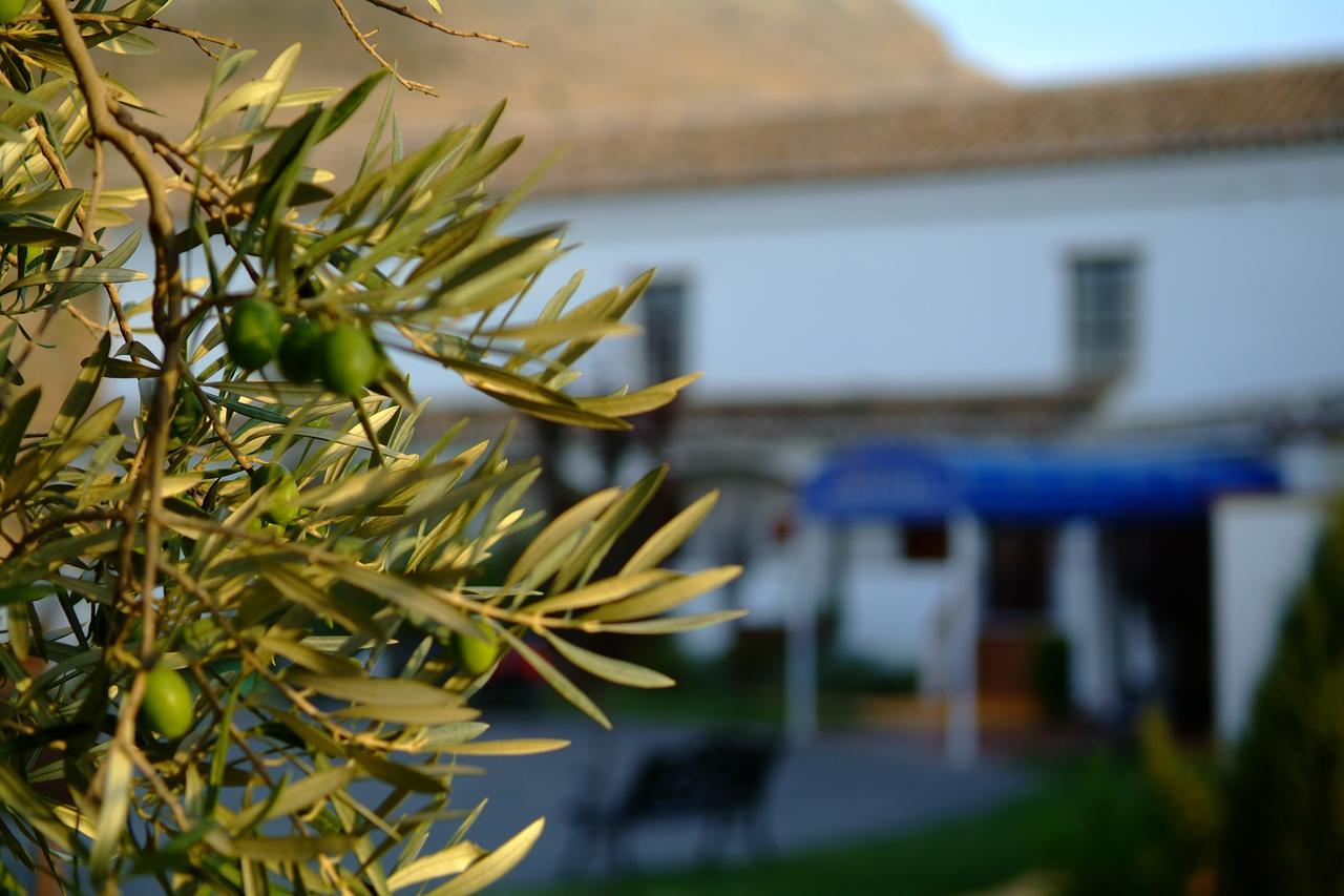 Almazara Hotel Loja Exterior photo